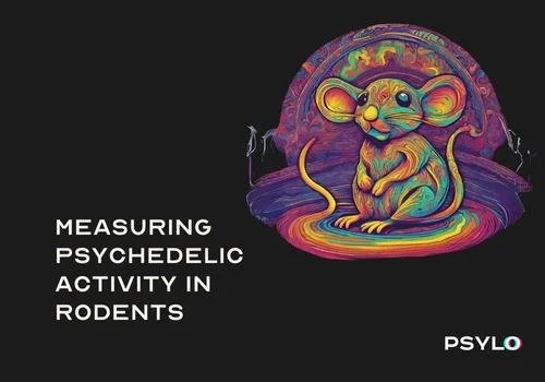 Psylo Newsletter - April 2023