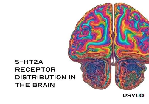 Psylo Newsletter - March 2023