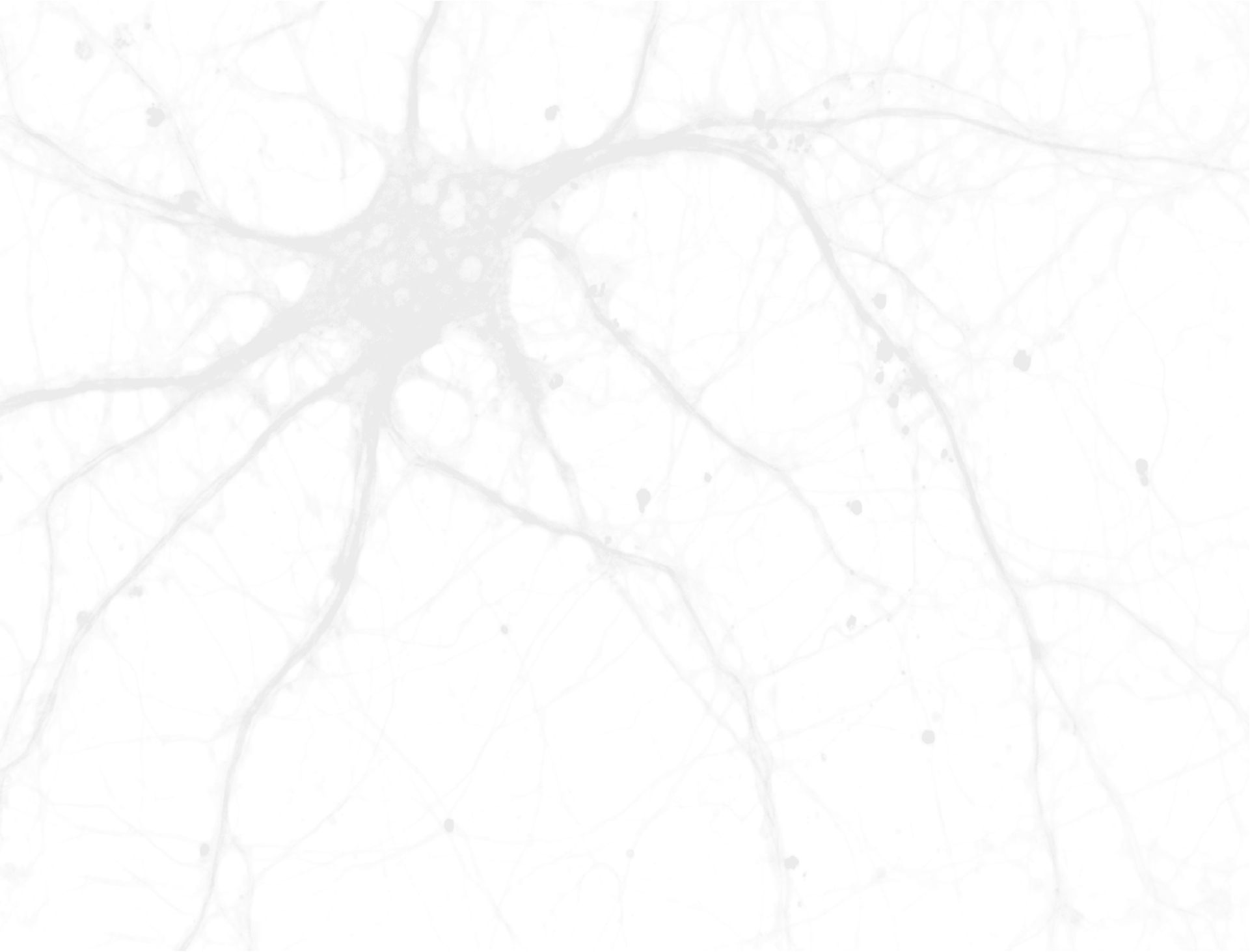 Neuron-bg.png